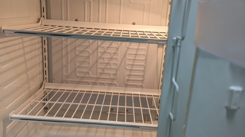 Inside of a mini-fridge