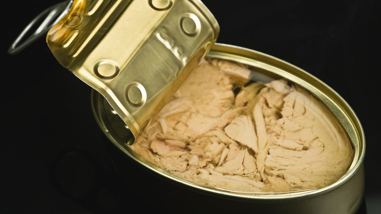 Canned albacore tuna in liquid