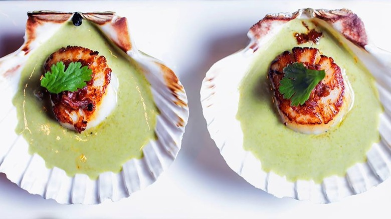 King scallops in herby sauce