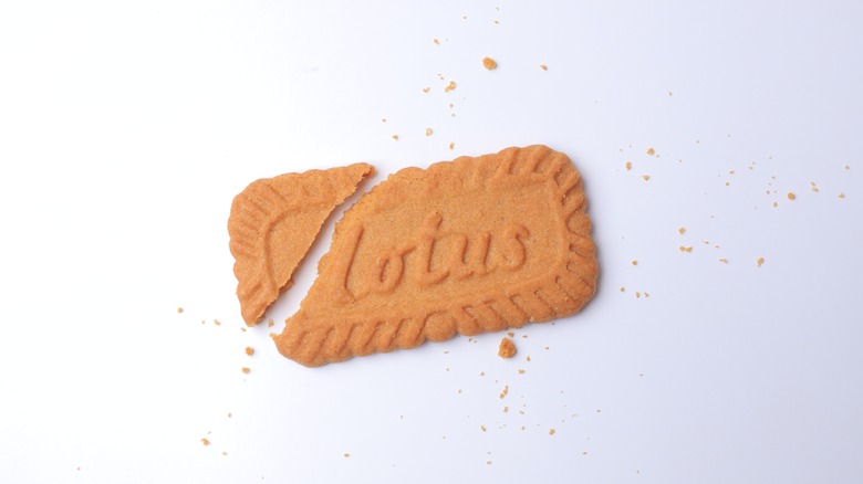 Lotus cookie on white background