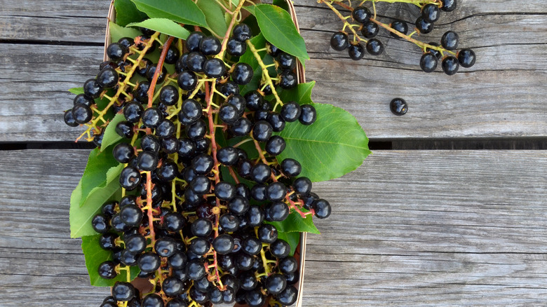 black cherries in a basket