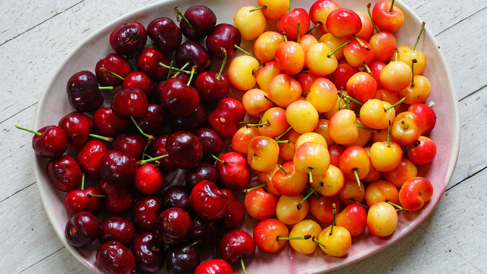 Cherry Fruits, varieties, production, seasonality
