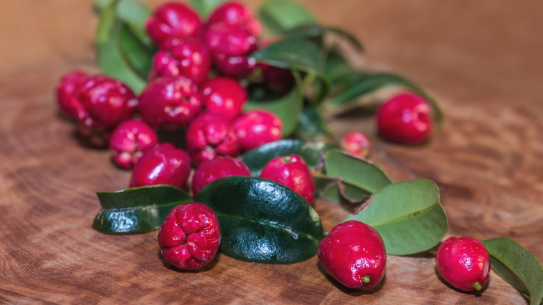 magenta cherries on wood table