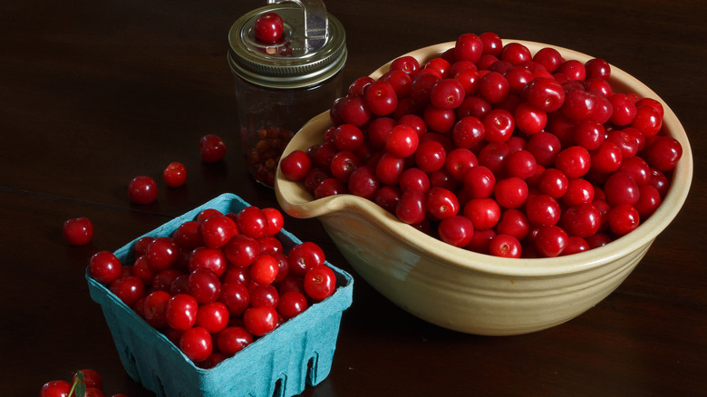 bowl of bright montmorency cherries