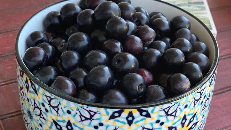 bowl of picked sandcherries