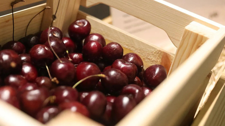 tieton cherries in a crate