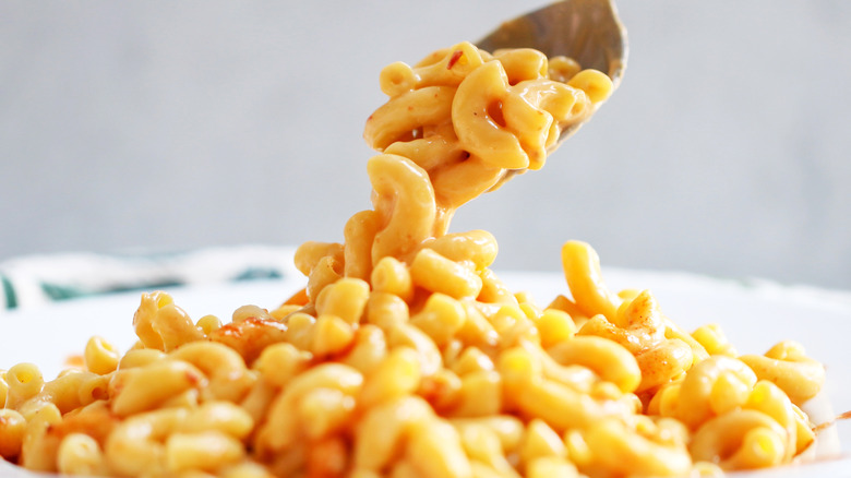 Vegan macaroni with cashew sauce