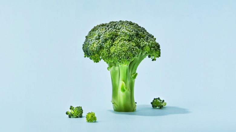 broccoli on blue background