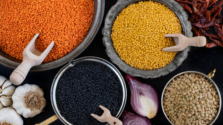 different types of lentils in bowls