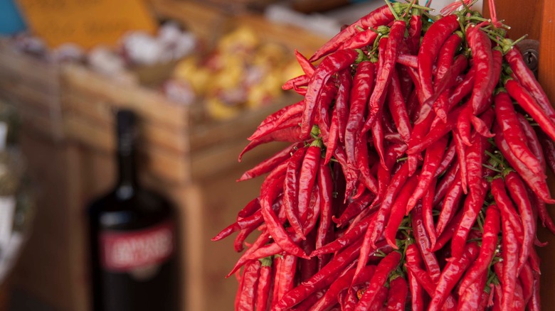 Bunch of calabrian chiles