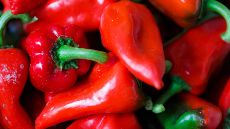 Pile of piquillo peppers