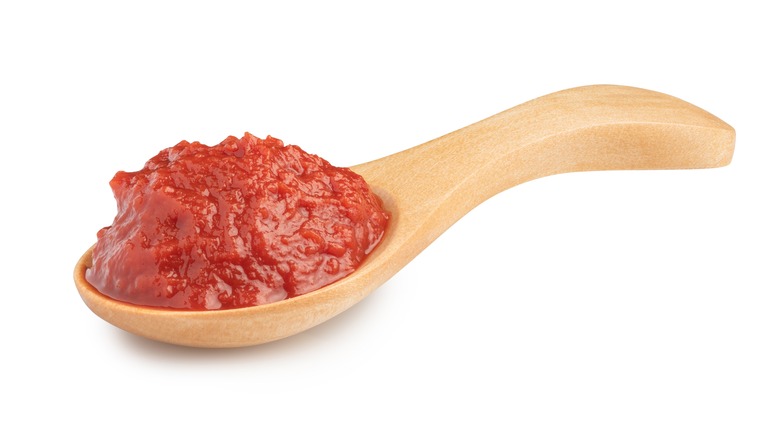 Tomato paste on a spoon