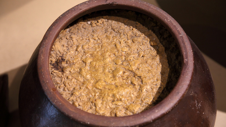 doenjang in earthenware clay pot