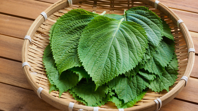 woven basket with green perilla leaves