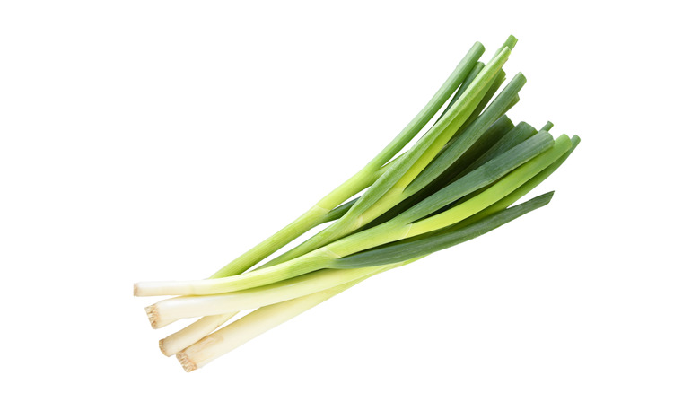 green scallions white background