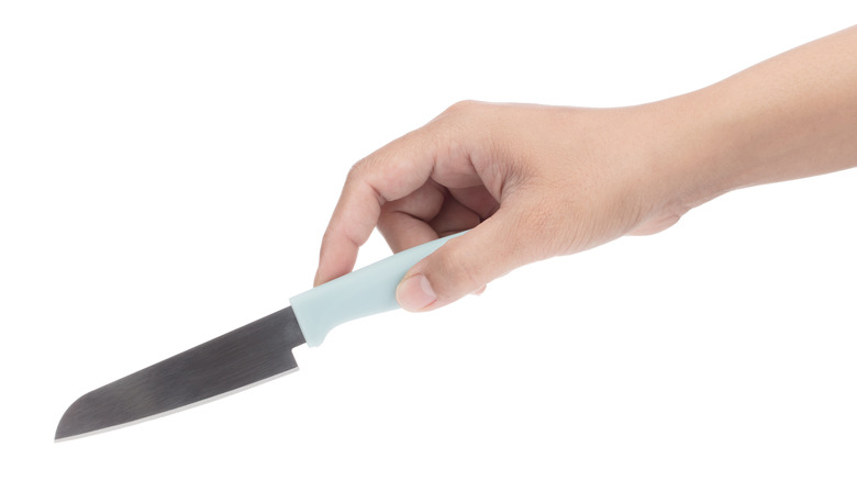 Paring knife in hand