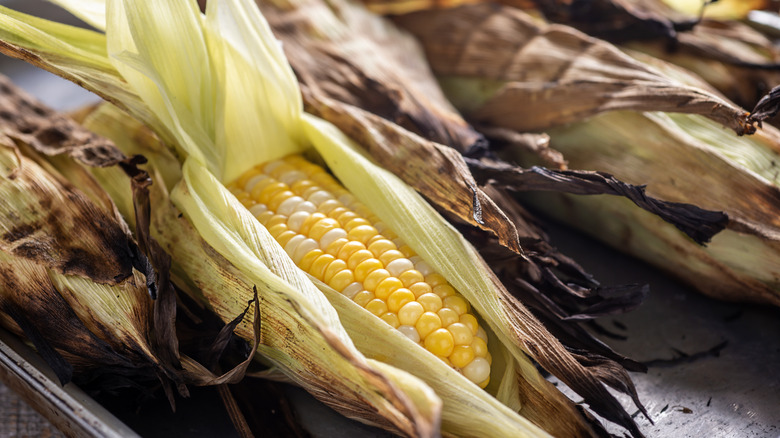 Grilled corn in husk