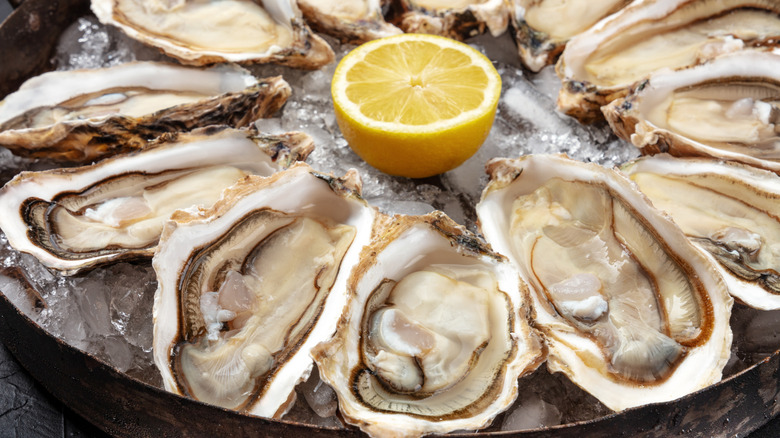 Oysters on the half shell