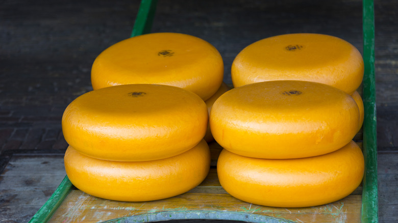 Gouda cheese rounds stacked