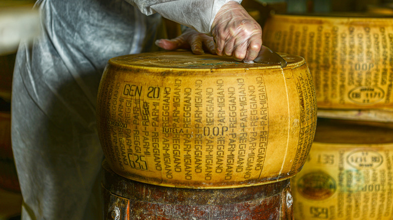 marks of origin on parmigiano rind