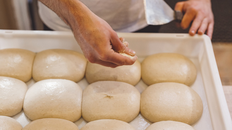 A chef sprinkles flour on fresh pizza dough in a white bin