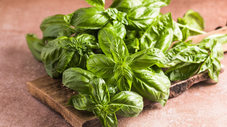 Pile of basil leaves 