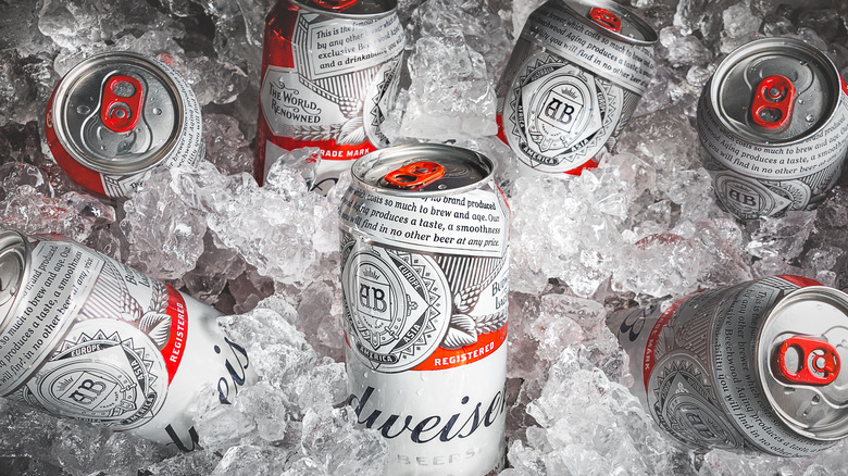 cans of Budweiser on ice 