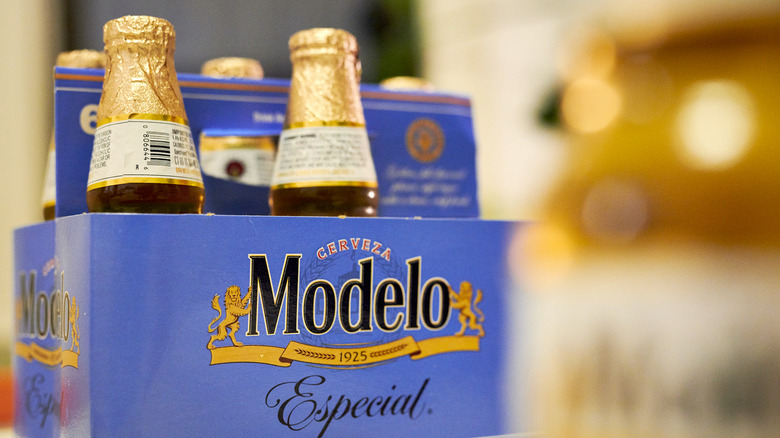 six pack of Modelo Especial 