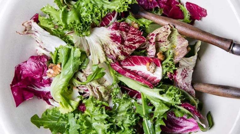 Chicory Salad with Orange and Walnuts