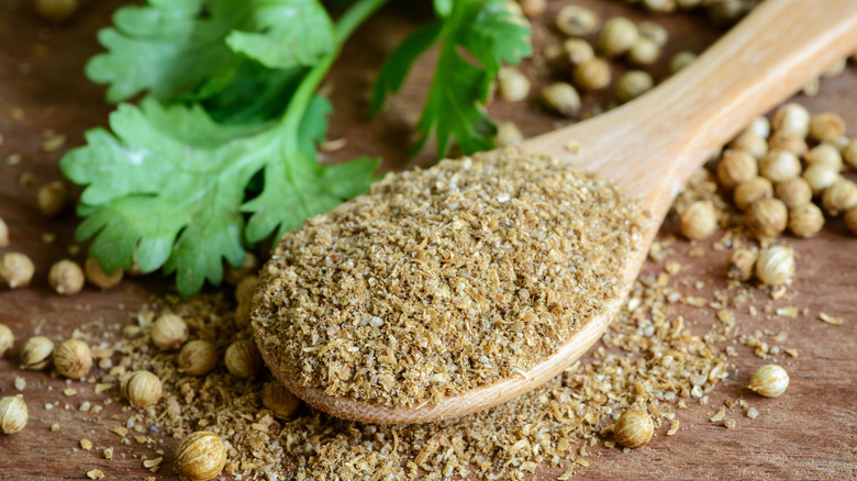 Coriander powder on spoon