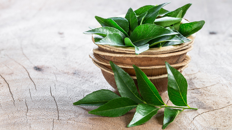 Fresh curry leaves in bowl