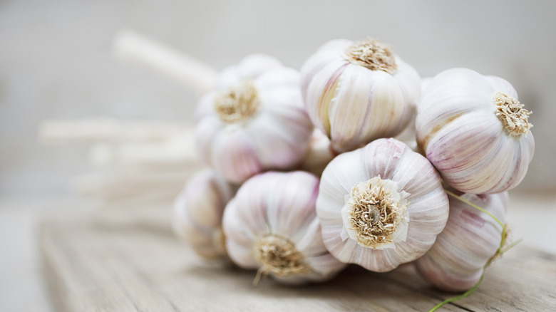 Fresh garlic bunches