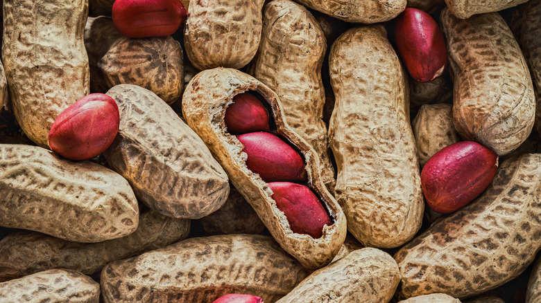 Red peanuts in shells