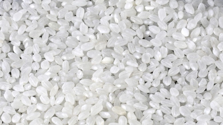 Short-Grain Rice close up