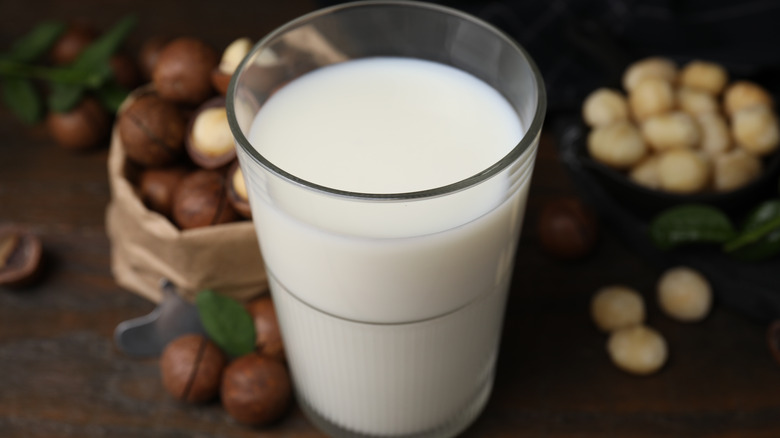 Bottle of macadamia milk surrounded by macadamia nuts