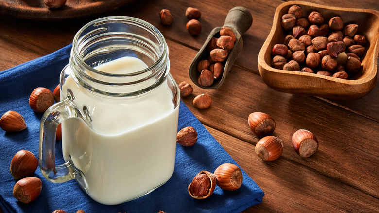 Glass of hazelnut milk surrounded by hazelnuts