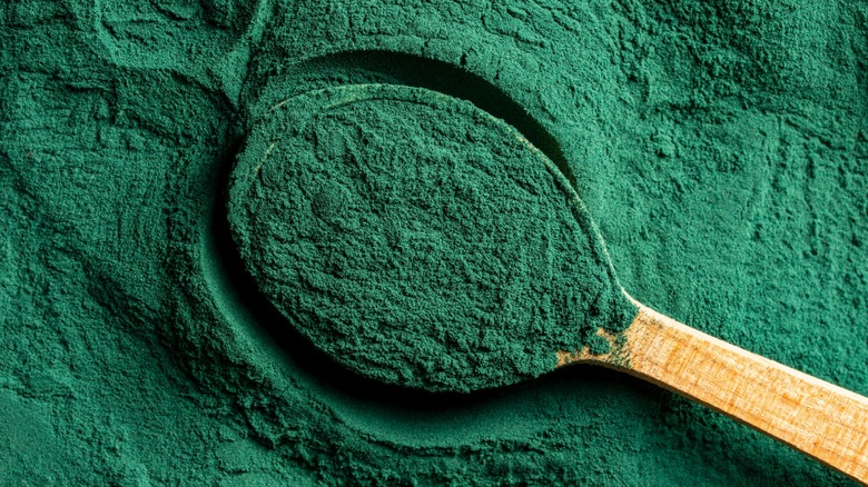 Overview of green spirulina powder on a wooden spoon