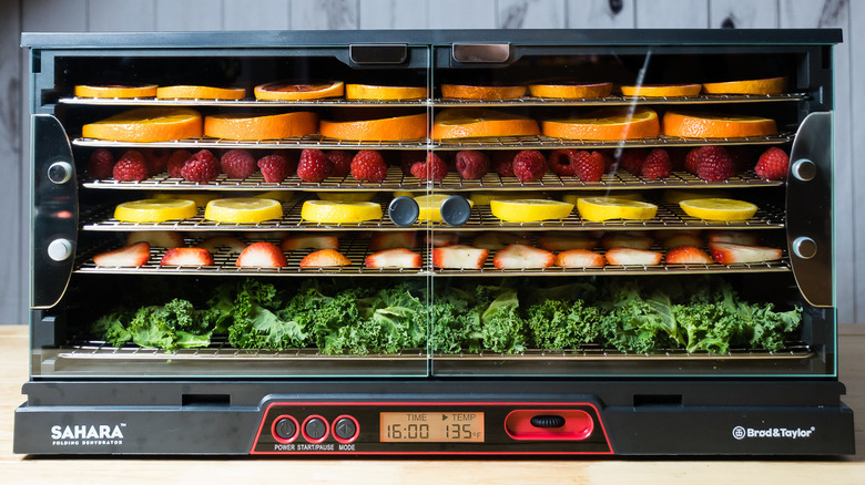 dehydrator filled with fruit and greens