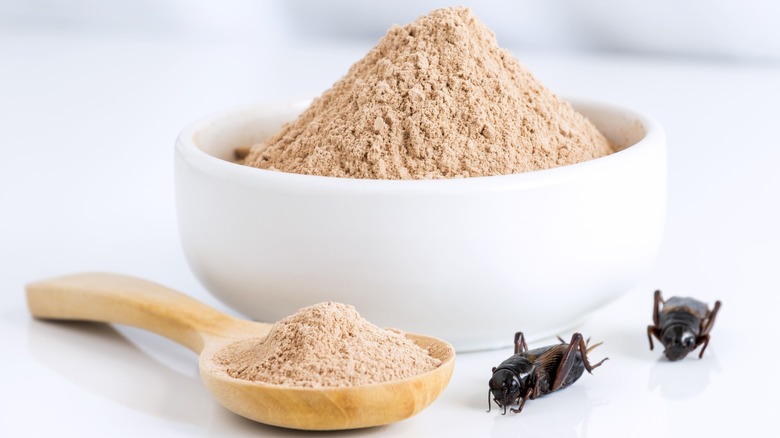 A bowl of cricket flour with black crickets