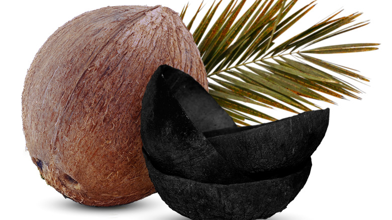 coconut alongside charcoal shell