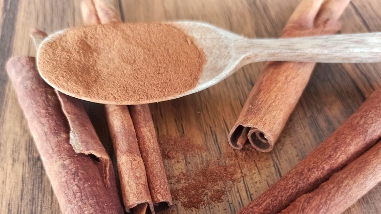 A spoonful of ground cinnamon on whole sticks