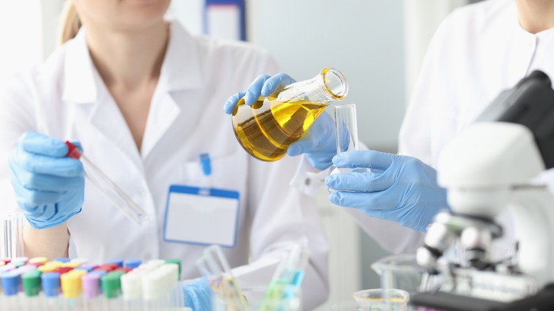 scientists testing olive oil in lab