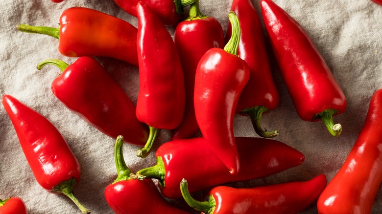 Several fresh Fresno peppers on a pale linen