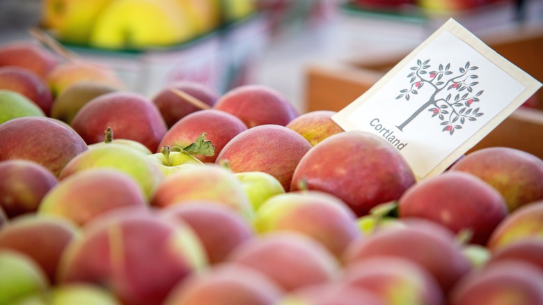 Cortland apples close up