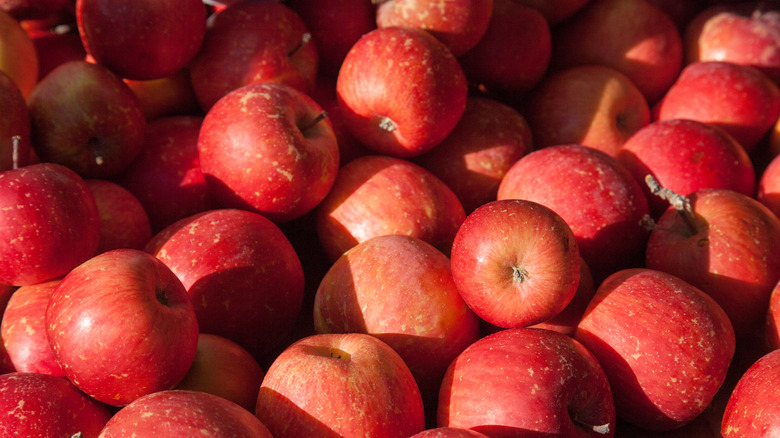 Fuji apples close up