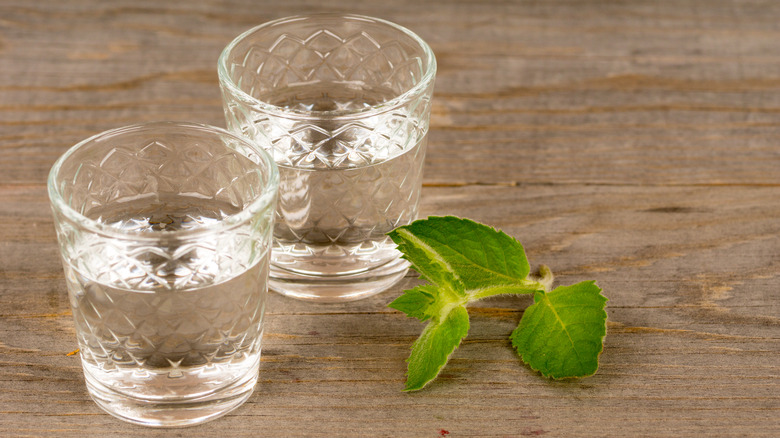 Peppermint schnapps in shot glasses near fresh peppermint