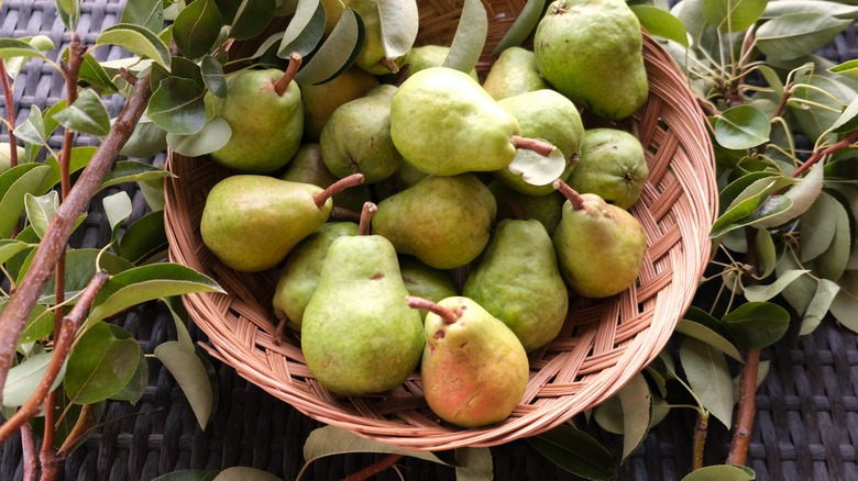 assorted barlett pears in basket