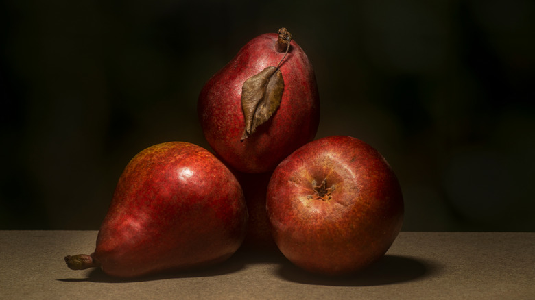 dark still life red anjou pear