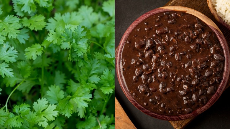 cilantro and canned black beans in wooden dish