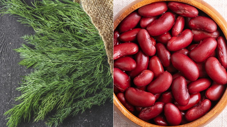 dill and canned kidney beans in wooden bowl